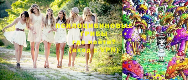 прущие крисы Абинск